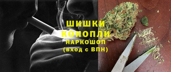 PSILOCYBIN Верхний Тагил